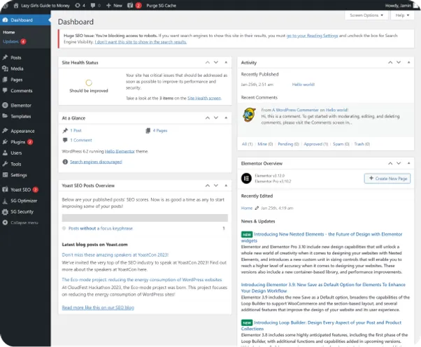 Snapshot of a WordPress dashboard